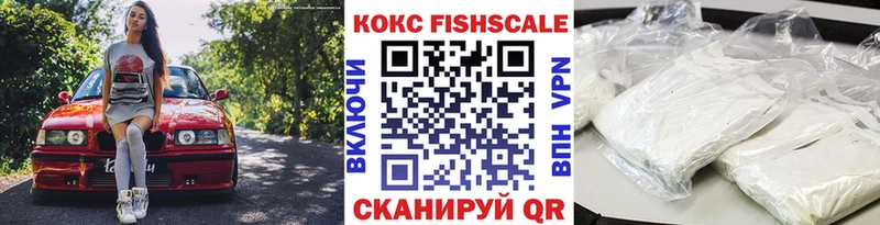 Купить закладки  Заволжск  Кокаин Fish Scale 