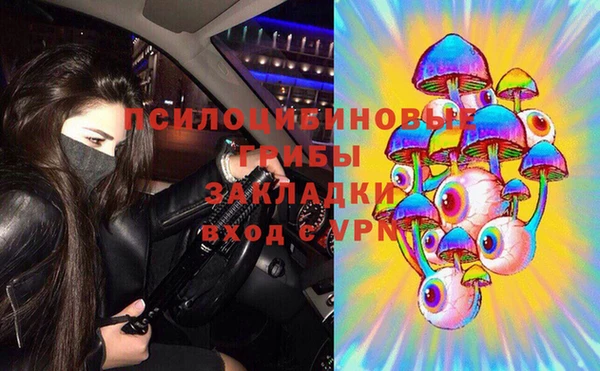 крисы Валдай