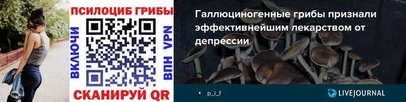Купить закладки  Заволжск  Галлюциногенные грибы Psilocybe 